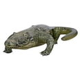 thumbnail image 1 of Inflatable Alligator, 1 of 6