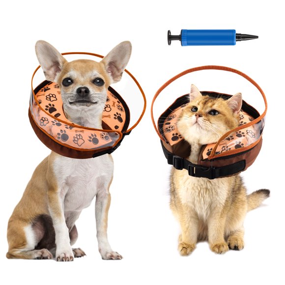 Donut Dogs After Surgery