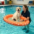 thumbnail image 1 of Inflatable Dog Pool Float Summer Water Lounger With Mesh Bed Leash Hook Pet Pool Float For Swimming, 1 of 6