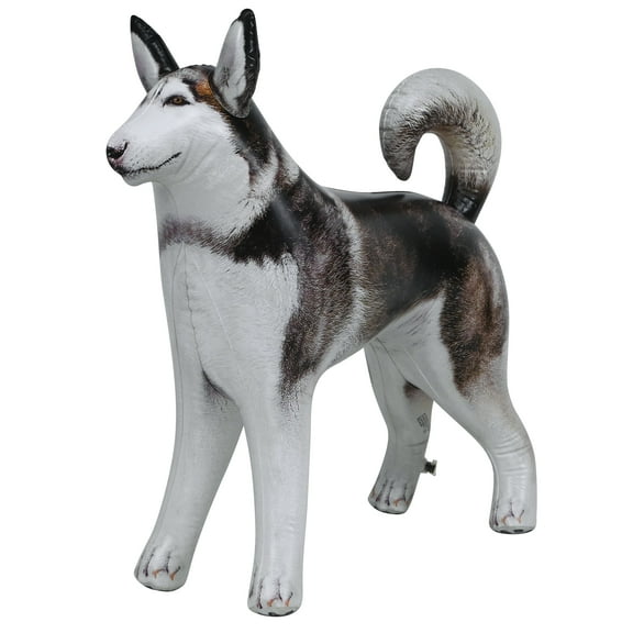 Inflatable Husky Dog Siberian Alaskan Malamute pet animal 32 inch Long for party decoration gift pool toy by Jet Creations AN-HUSKY