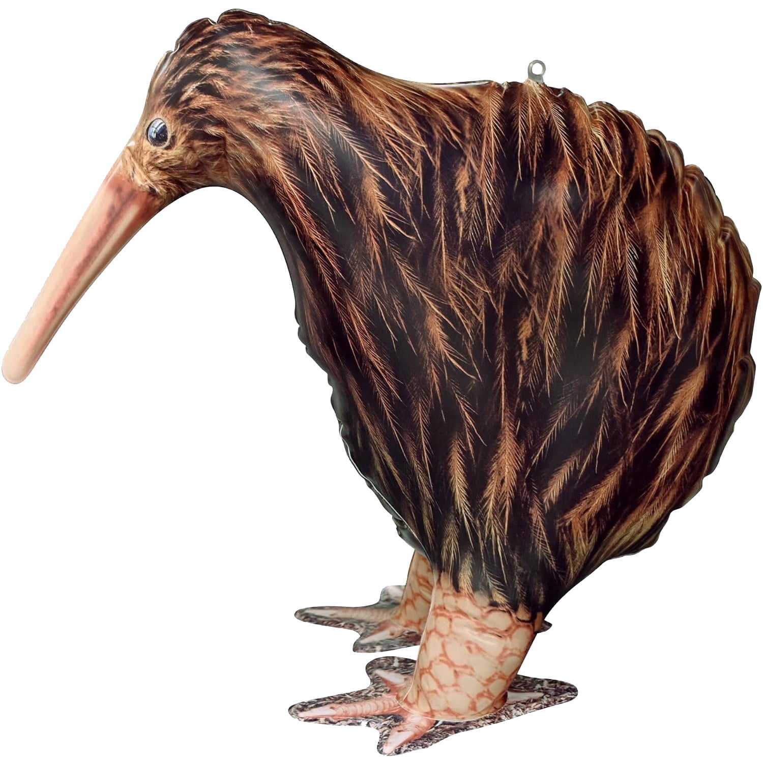 Inflatable Kiwi Bird educational animals of the world 18 inch for