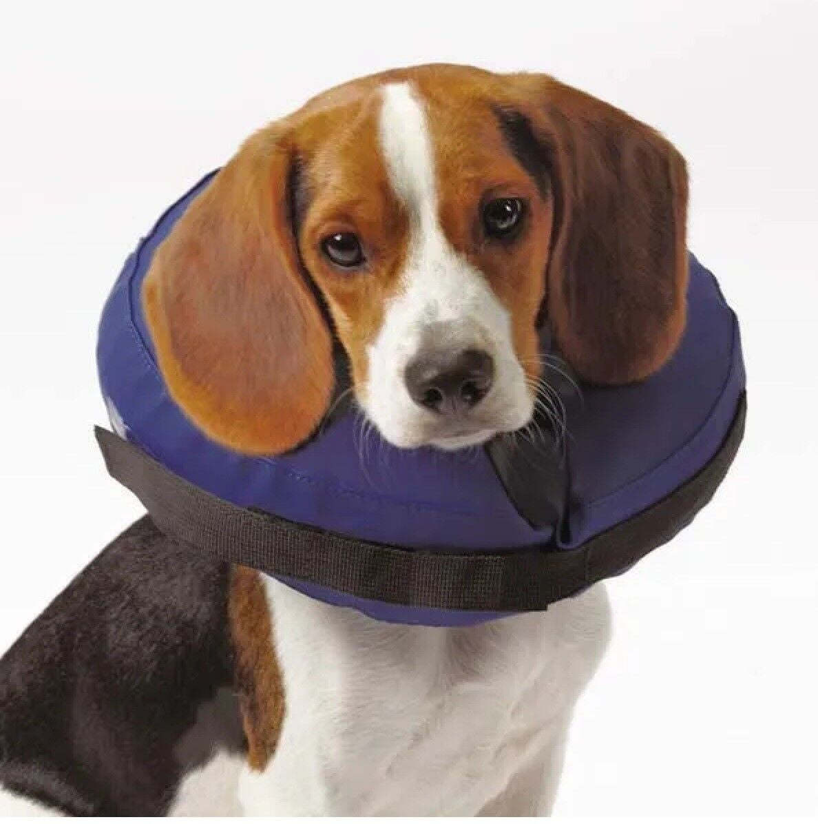 Inflatable Recovery Collars for Dogs Injury Stitch Wound Irritation Protection (Medium)