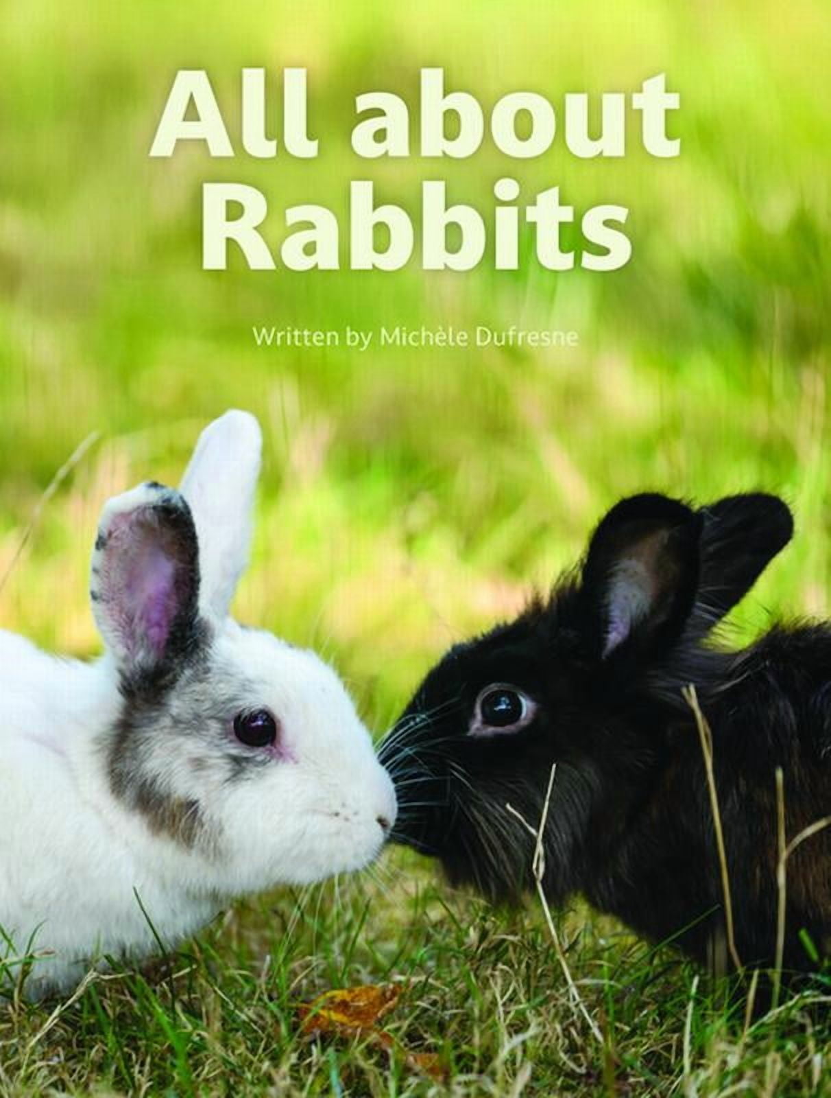 Infocodables Coral Set 1 All about Rabbits, (Paperback)