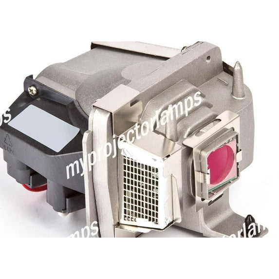 Infocus C185 Projector Lamp with Module
