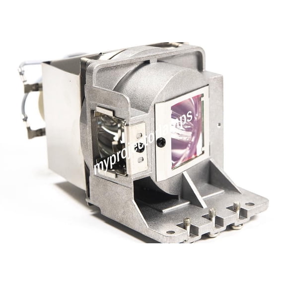 Infocus IN114x Projector Lamp with Module