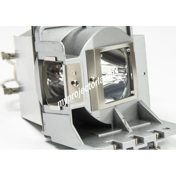 Infocus IN2128HDx Projector Lamp with Module