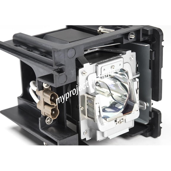 Infocus SP-LAMP-066 Projector Lamp with Module