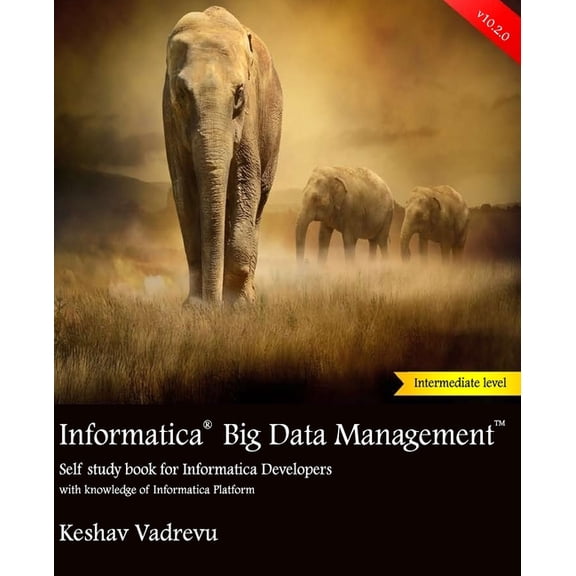 Informatica Big Data Management: Self study book for Informatica Developers (Paperback) by Keshav Vadrevu