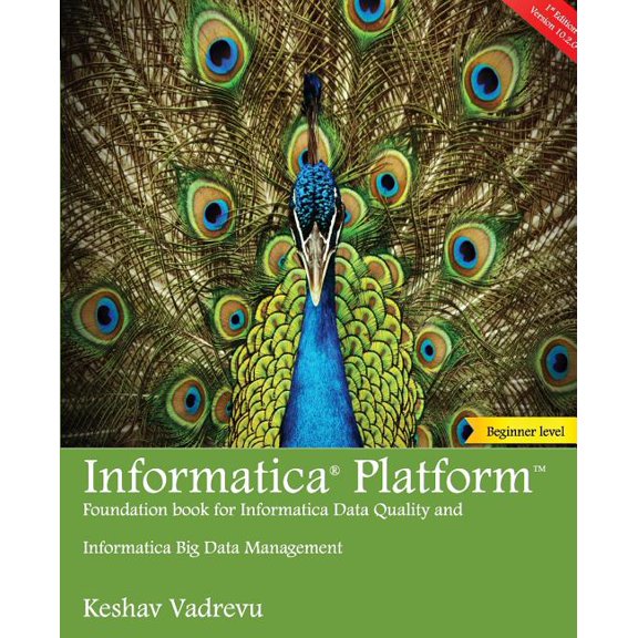 Informatica: Informatica Platform : A beginner's guide - Foundation book for Informatica Data Quality and Big Data Management (Series #1) (Paperback)