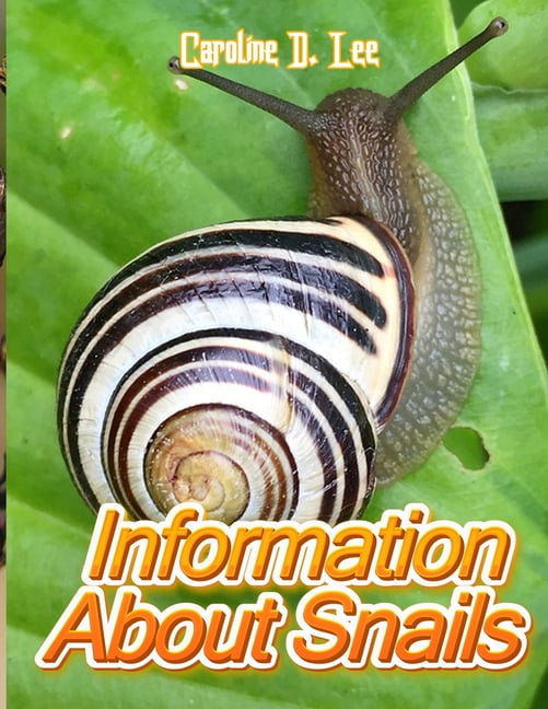 Information About Snails Animal fact for girl age 110 Animal fact