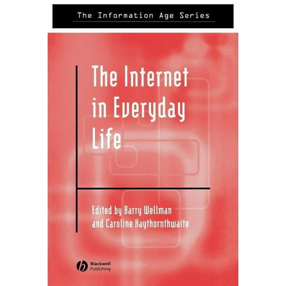 Information Age: The Internet in Everyday Life (Paperback)