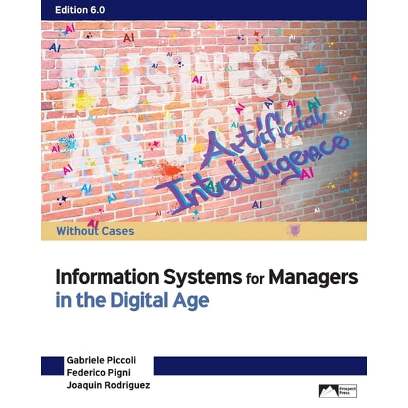 Information Systems for Managers in the Digital Age: Without Cases, (Paperback)