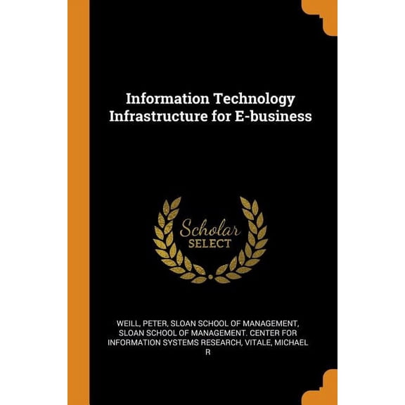 Information Technology Infrastructure for E-Business (Paperback)