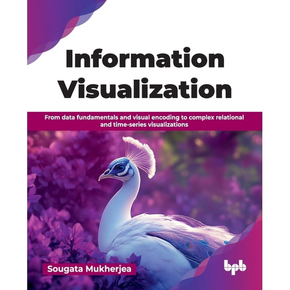 Information Visualization: From data fundamentals and visual encoding to complex relational and time-series visualizatio, (Paperback)