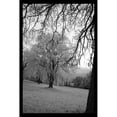 thumbnail image 1 of Infra Red Forest I Poster Print by David Comfort (12 x 18), 1 of 2