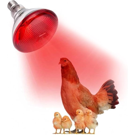 Infrared Heat Lamp Bulbs For Farming - 250W Infrared Light Red Heat Bulb, Basking Spot Red Heat Light For Poultry, Chicks, Puppies, Cats, Pigs, Lizards
