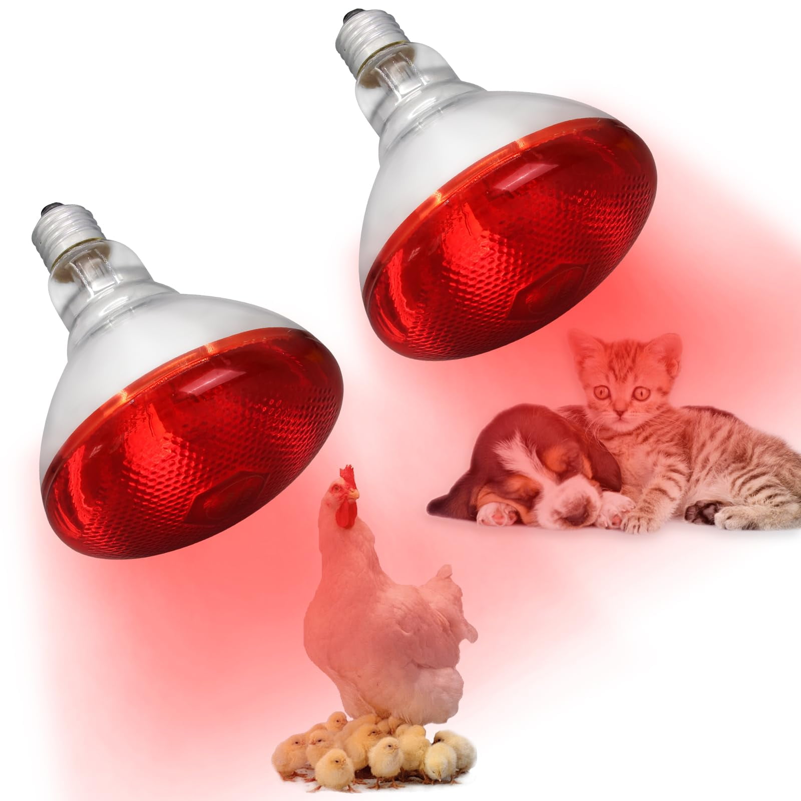 Infrared Heat Lamp for Chickens-250W Chicken Brooder Heater Lamp,Infrared Reflector Heat Lamp Bulbs for Brooder Coop,Chick,Pet,Reptile, Par38 Glass,2 Pack (2)