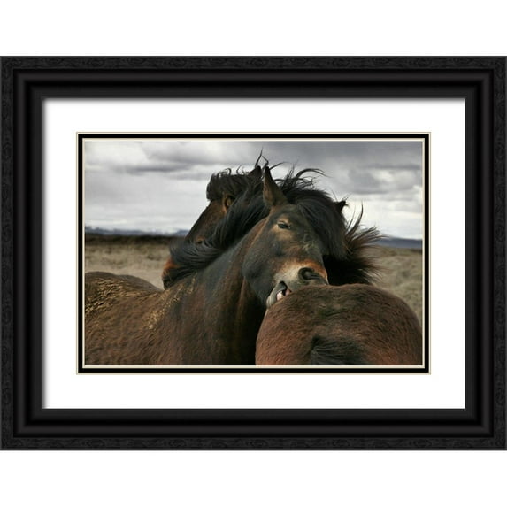 Ingibergsson, Bragi 18x13 Black Ornate Wood Framed with Double Matting Museum Art Print Titled - Close