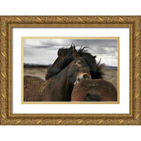 Ingibergsson, Bragi 24x17 Gold Ornate Wood Framed with Double Matting Museum Art Print Titled - Close