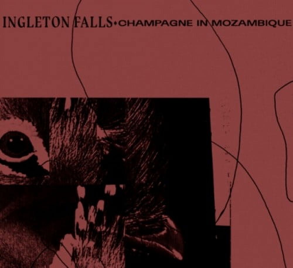 Ingleton Falls - Champagne In Mozambique - Music & Performance - Vinyl