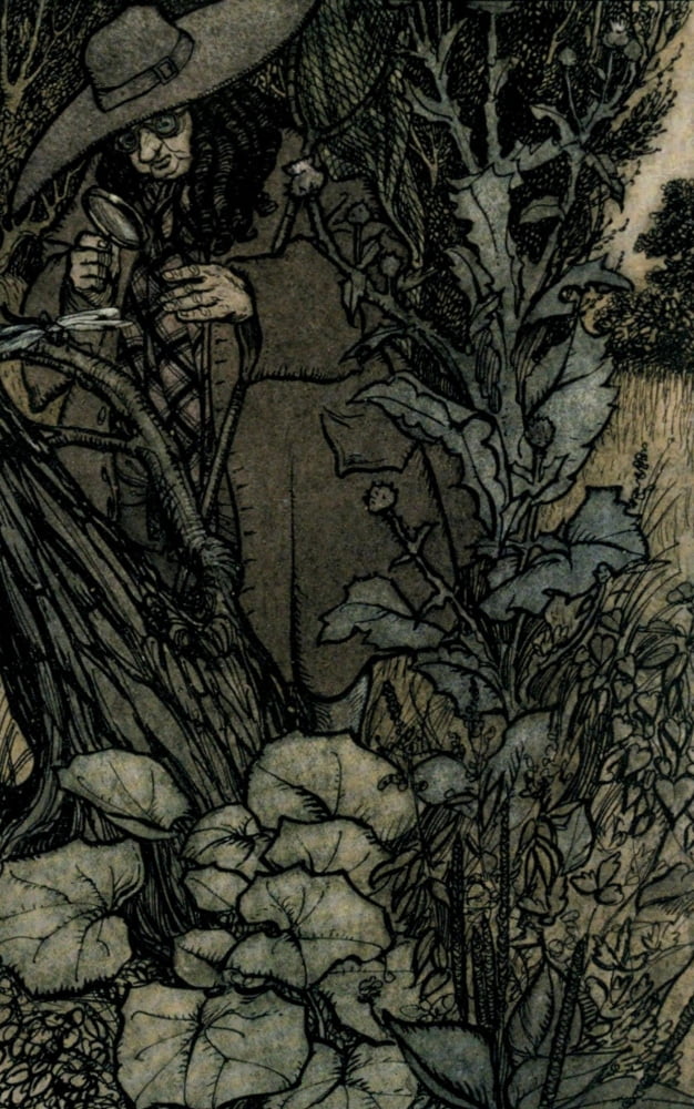Ingoldsby Legends 1907 Sir Thomas her Lord Canvas Art - A Rackham (18 x 24)