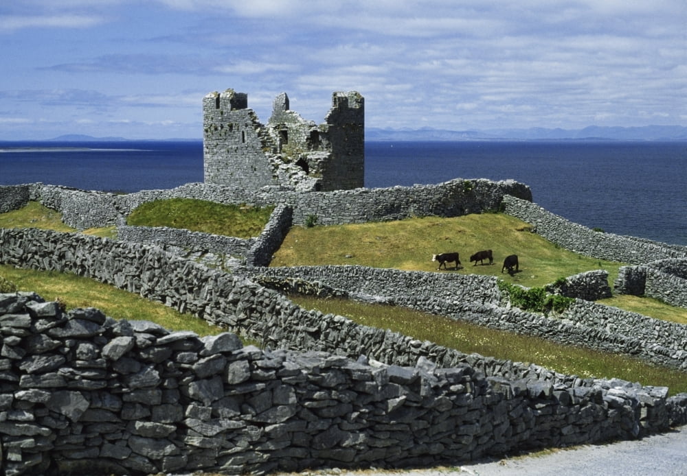 Inisheer Aran Islands Co Galway Ireland Obrien Castle Canvas Art - The Irish Image Collection Design Pics (36 x 24)