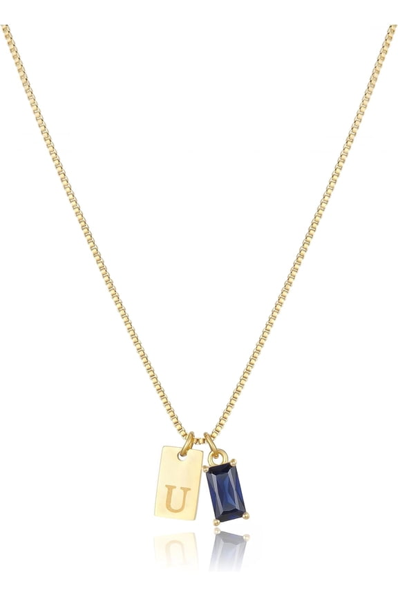 Initial Birthstone Necklace for Women 14K Gold Plated Dainty Tag Cubic Zirconia Birthstone Pendant Necklace,Letter A-Z,January-December,Birthday Christmas Jewelry Gift[h6597]