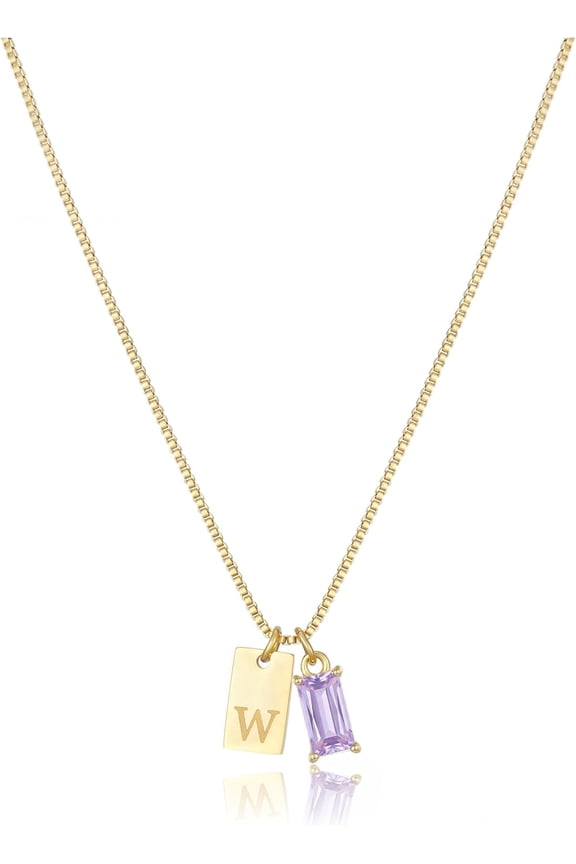 Initial Birthstone Necklace for Women 14K Gold Plated Dainty Tag Cubic Zirconia Birthstone Pendant Necklace,Letter A-Z,January-December,Birthday Christmas Jewelry Gift[u0504]