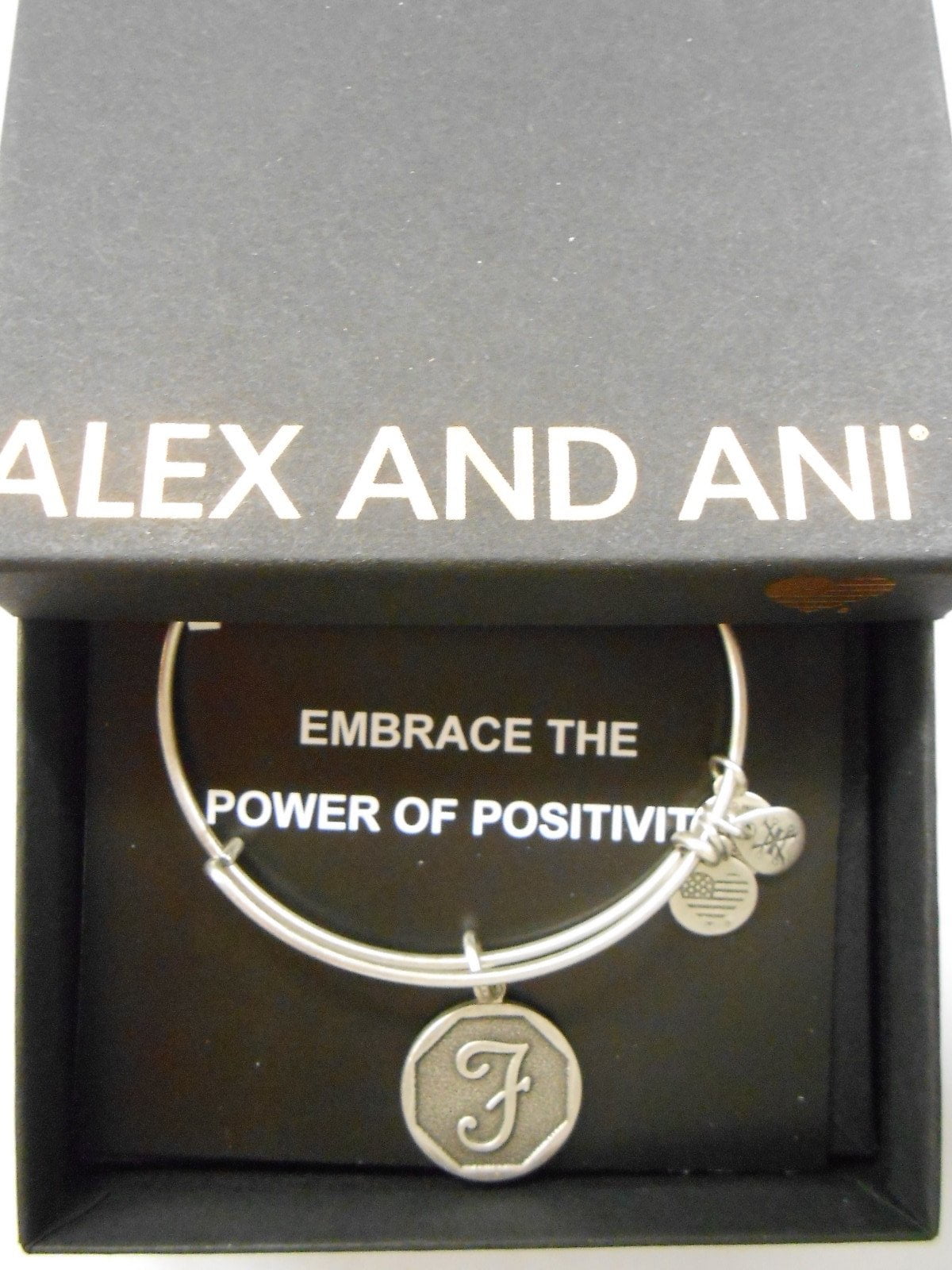 Alex and ani initial deals necklace