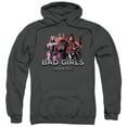 thumbnail image 1 of Injustice Gods Among Us-Bad Girls Adult Pull-Over Hoodie- Charcoal - Medium, 1 of 1