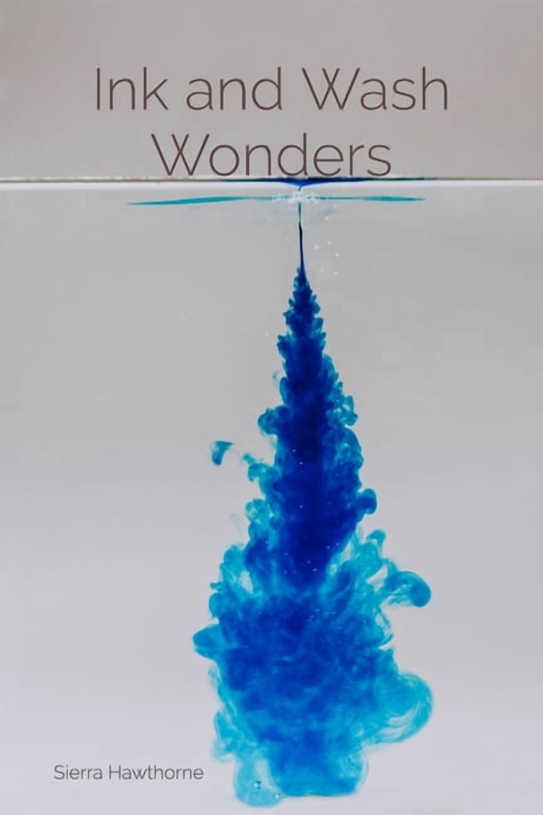 Paperbank Ink Ink and Wash Wonders: Techniques and Explorations in Aqueous Media ...