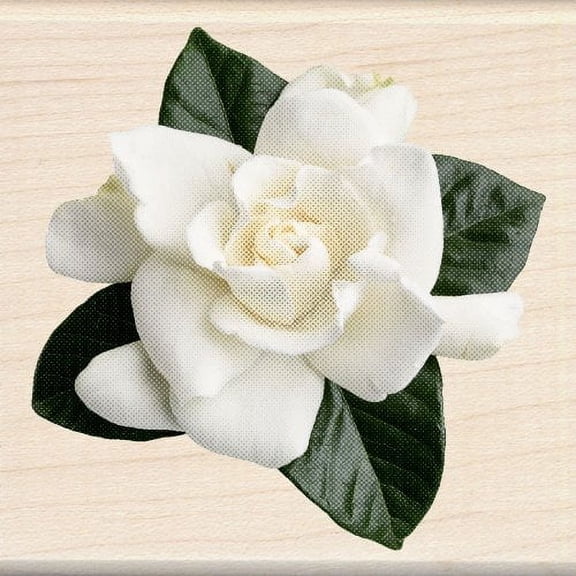 Inkadinkado Gardenia Wood Stamp