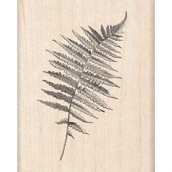 Inkadinkado(R) Rubber Stamp - Fern