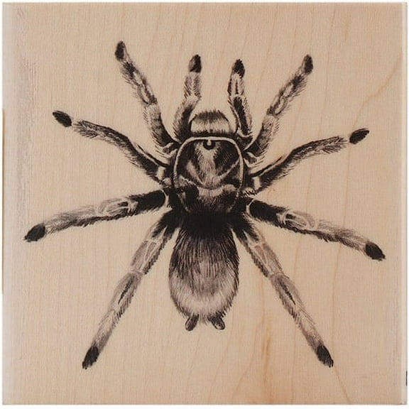 Inkadinkado Wood Stamp, Tarantula