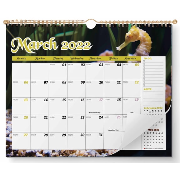 Inkdotpot 11x8.5WallCalendar- Runs until December 2023Hanging Spiral Bound MonthlyCalendar2022-2023 for Home or Office+ Bonus Sticker Sheet -Underwater