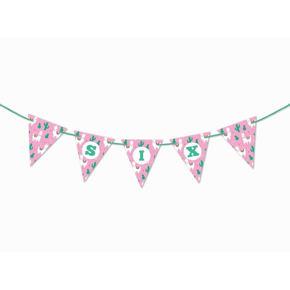 Inkdotpot Ready To HangI Am SixBirthdayBaby GirlsBuntingPennant Banner StripeBirthday Party DecorationsFlag Banner