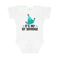 thumbnail image 1 of Inktastic 1st Birthday 1 Year Old Boys or Girls Baby Bodysuit, 1 of 5