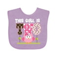 thumbnail image 1 of Inktastic 2nd Birthday Cute Owl 2 Year Old Girls Baby Bib, 1 of 4