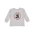 thumbnail image 1 of Inktastic 3rd Birthday Floral Wreath 3 Year Old Girl Girls Long Sleeve Toddler T-Shirt, 1 of 5