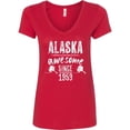 thumbnail image 1 of Inktastic Alaska Awesome Since 1959 Women's V-Neck T-Shirt, 1 of 5
