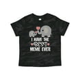 thumbnail image 1 of Inktastic Best Meme Ever Grandchild Boys or Girls Toddler T-Shirt, 1 of 5