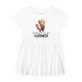 thumbnail image 1 of Inktastic Beware of My Cuteness Cute Red Panda Girls Baby Dress, 1 of 5