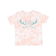 thumbnail image 1 of Inktastic Big Brother, Older Brother, Deer Antlers, Arrow Boys Toddler T-Shirt, 1 of 5