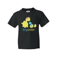 thumbnail image 1 of Inktastic Big Dinosaur Sister Youth T-Shirt, 1 of 5