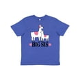 thumbnail image 1 of Inktastic Big Sis Girls Llama Sister Youth T-Shirt, 1 of 5