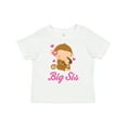 thumbnail image 1 of Inktastic Big Sis Monkeys Girls Toddler T-Shirt, 1 of 5