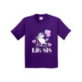thumbnail image 1 of Inktastic Big Sis Unicorn Sister Announcement Youth T-Shirt, 1 of 5