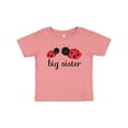 thumbnail image 1 of Inktastic Big Sister Girls Baby T-Shirt, 1 of 5