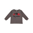 thumbnail image 1 of Inktastic Big Sister Girls Long Sleeve Toddler T-Shirt, 1 of 5