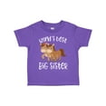 thumbnail image 1 of Inktastic Big Sister Girls Toddler T-Shirt, 1 of 5